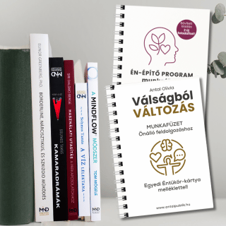 Ajándékozz fejlődést karácsonyra: 7 könyv és munkafüzet az önmegismeréshez